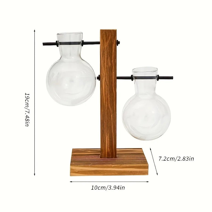 Vintage Glass Hydroponic Propagation Vase – Decorative Desktop Plant Terrarium for Water Rooting & Home Décor