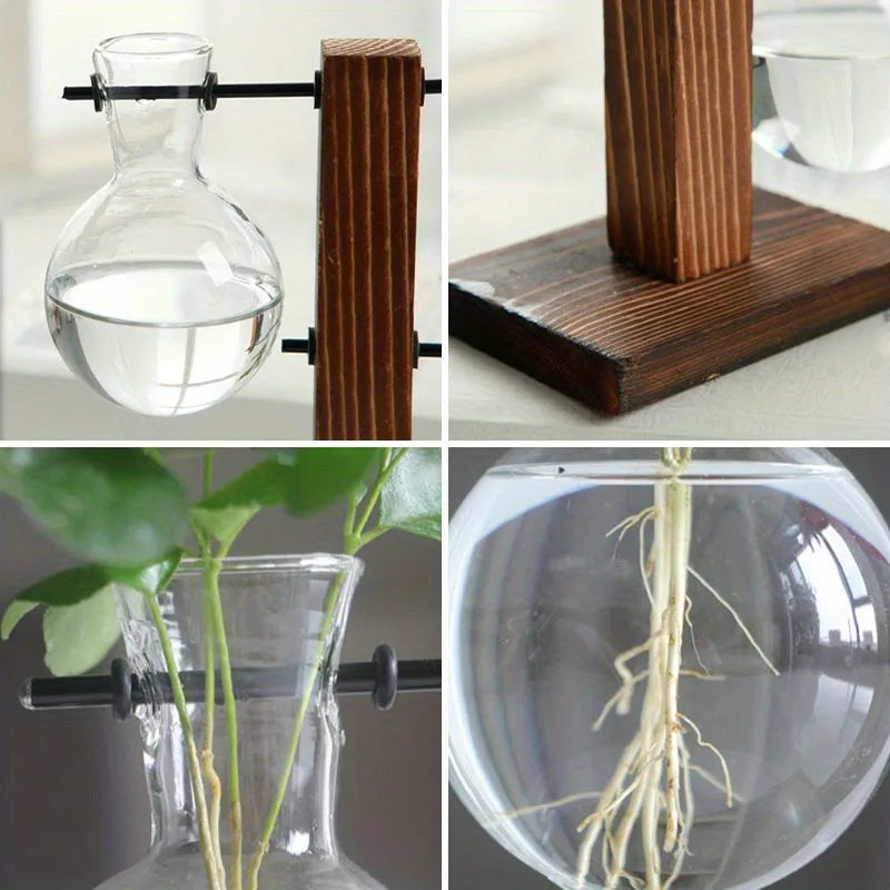 Vintage Glass Hydroponic Propagation Vase – Decorative Desktop Plant Terrarium for Water Rooting & Home Décor