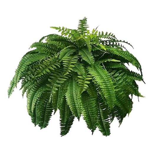 UV Resistant Artificial Boston Fern